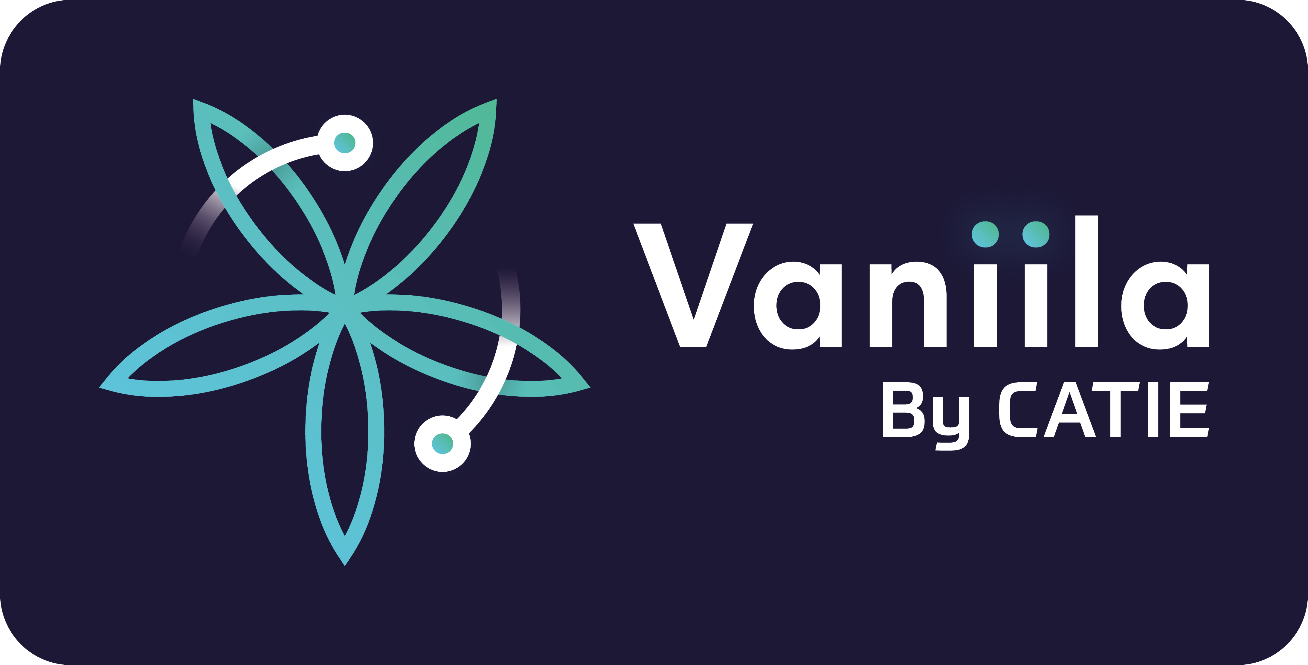 Vaniila - La plateforme de l'IA
